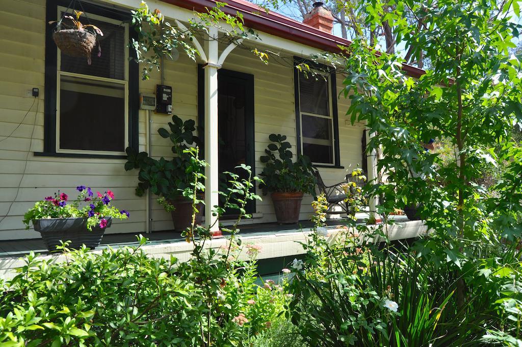 Sinnamons Cottage Maldon Ngoại thất bức ảnh